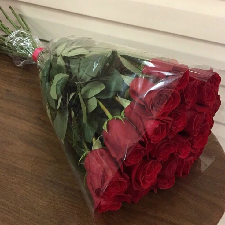 Nice red flower